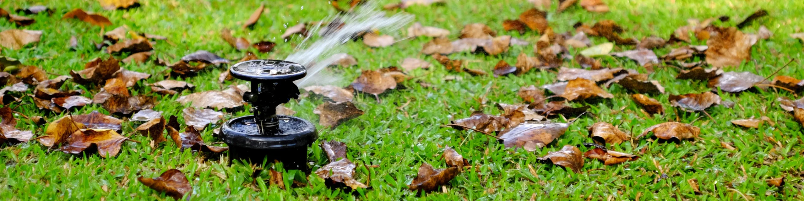 Arroseur arrosant la pelouse dans le jardin