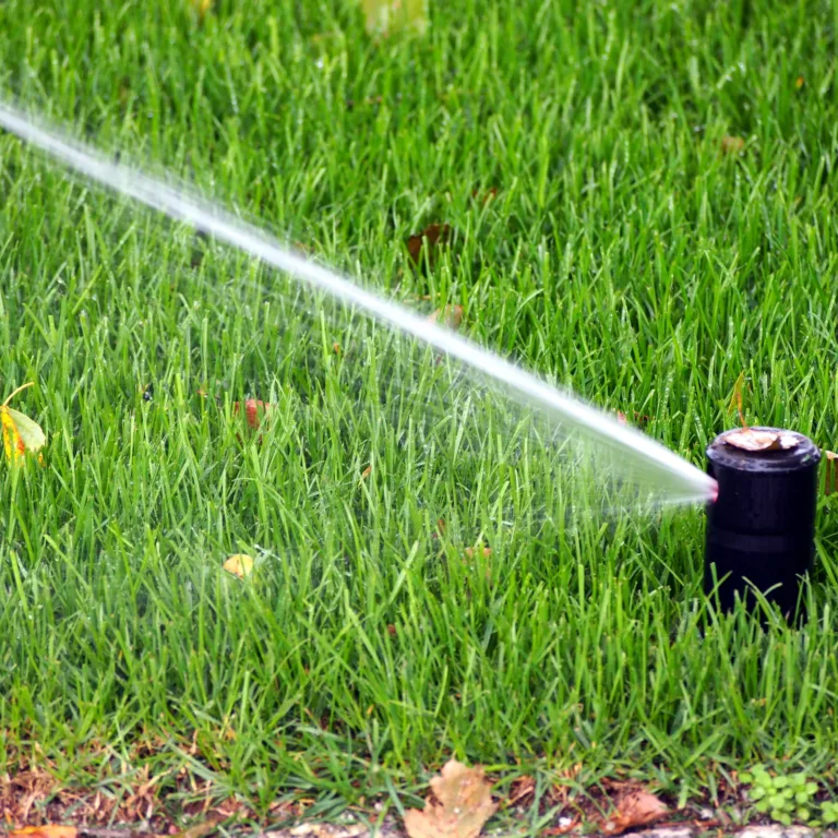Sprinkler head watering a green lawn with fallen autumn leaves – irrigation system for seasonal lawn care and winterization.